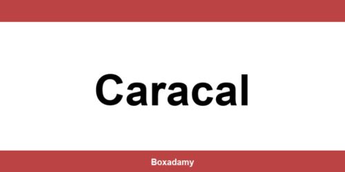 Informații de contact depozitul Sameday din Caracal