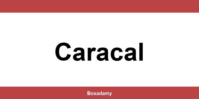 Informații de contact depozitul Sameday din Caracal